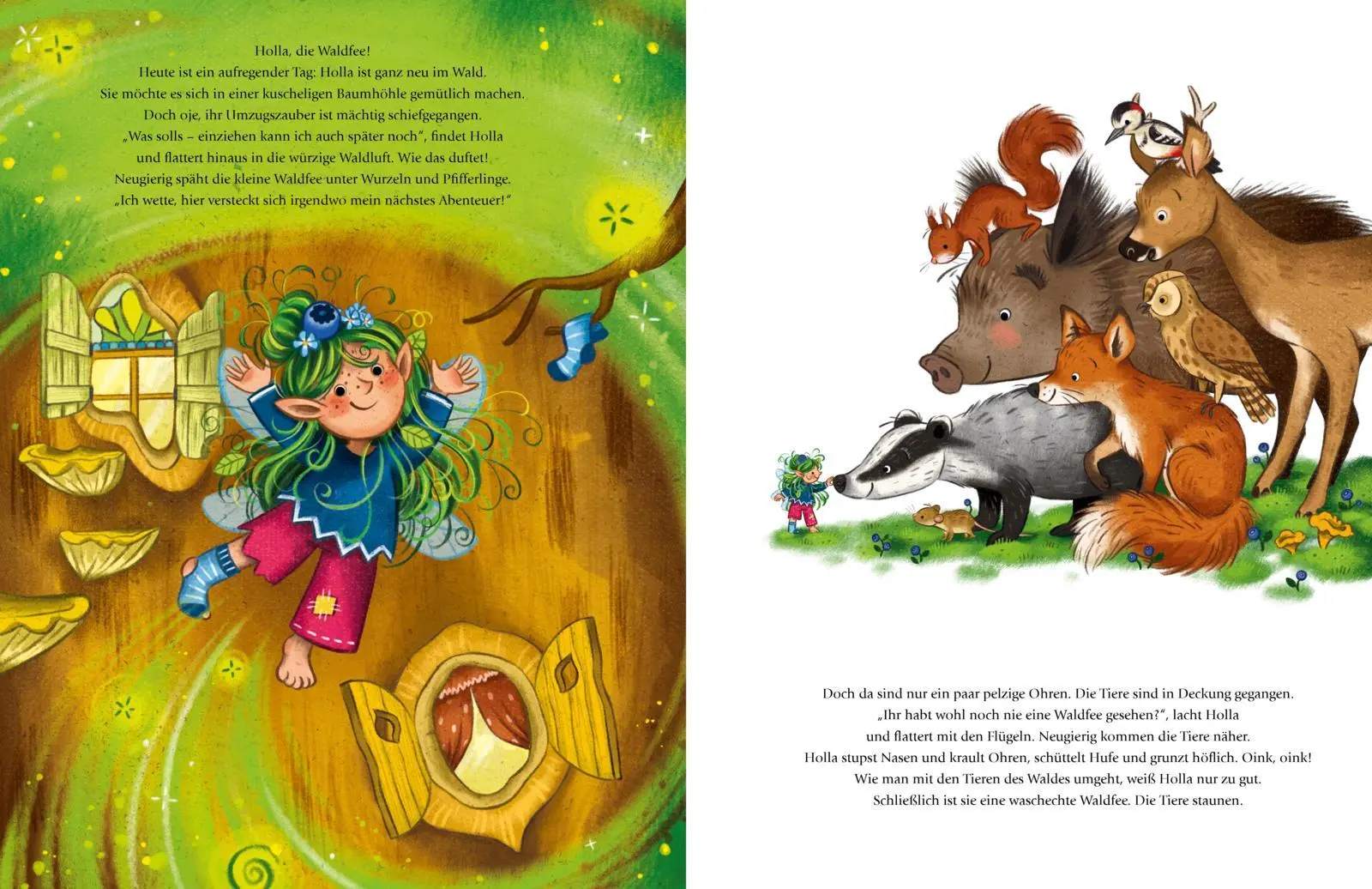 Bild: 9783480241767 | Holla, die Waldfee | Nora Paehl | Buch | 32 S. | Deutsch | 2026