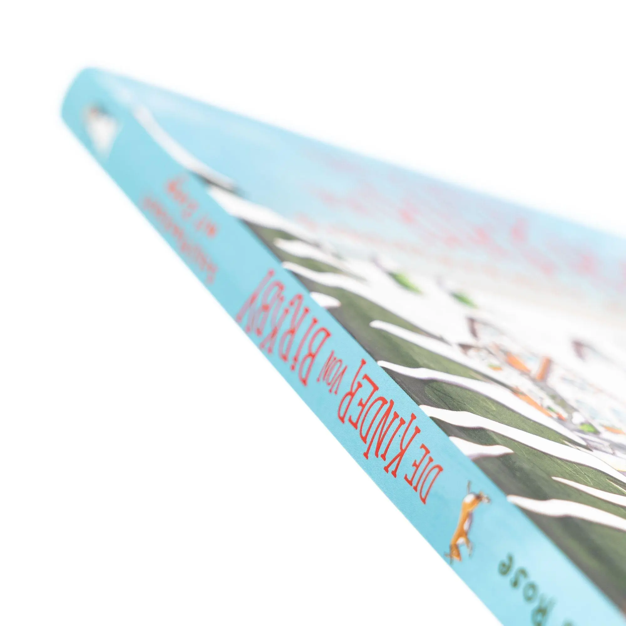 Bild: 9783505151767 | Die Kinder von Birkby. Schlittenfahrt mit Ziege | Barbara Rose | Buch