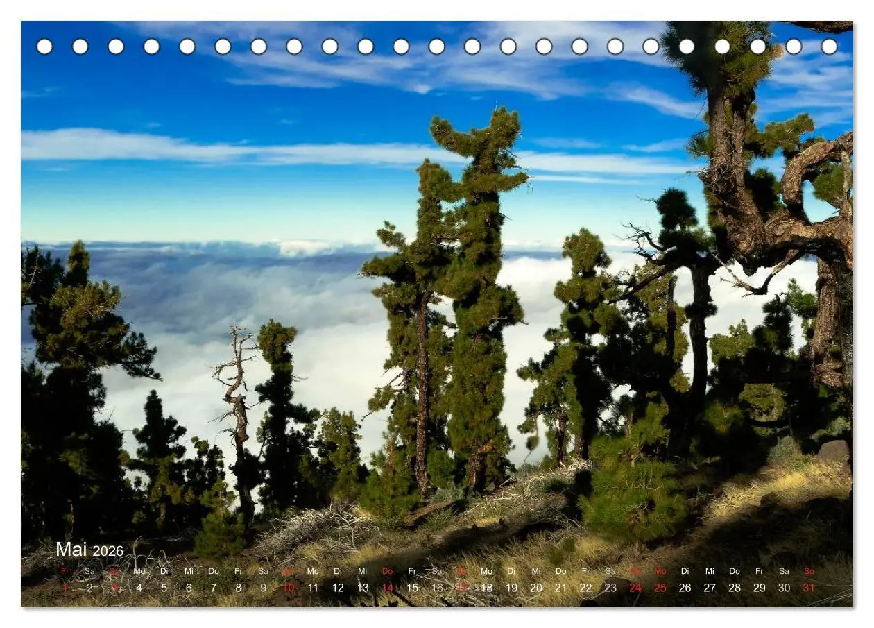 Bild: 9783516111767 | La Palma (Tischkalender 2026 DIN A5 quer), CALVENDO Monatskalender