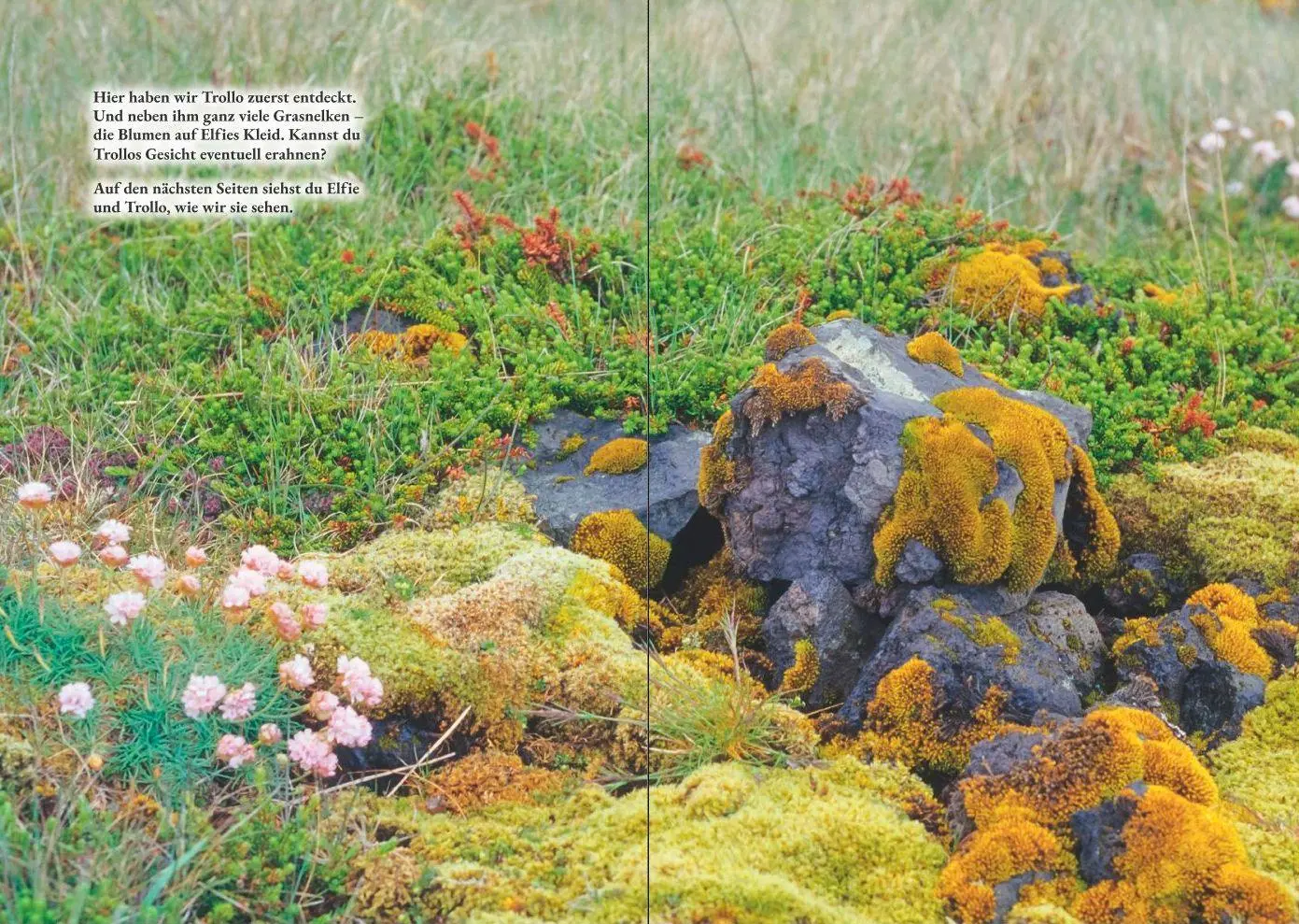 Bild: 9783982341767 | Der Auftrag der Verborgenen | Ein Troll ohne Frühstück | Vahldiek