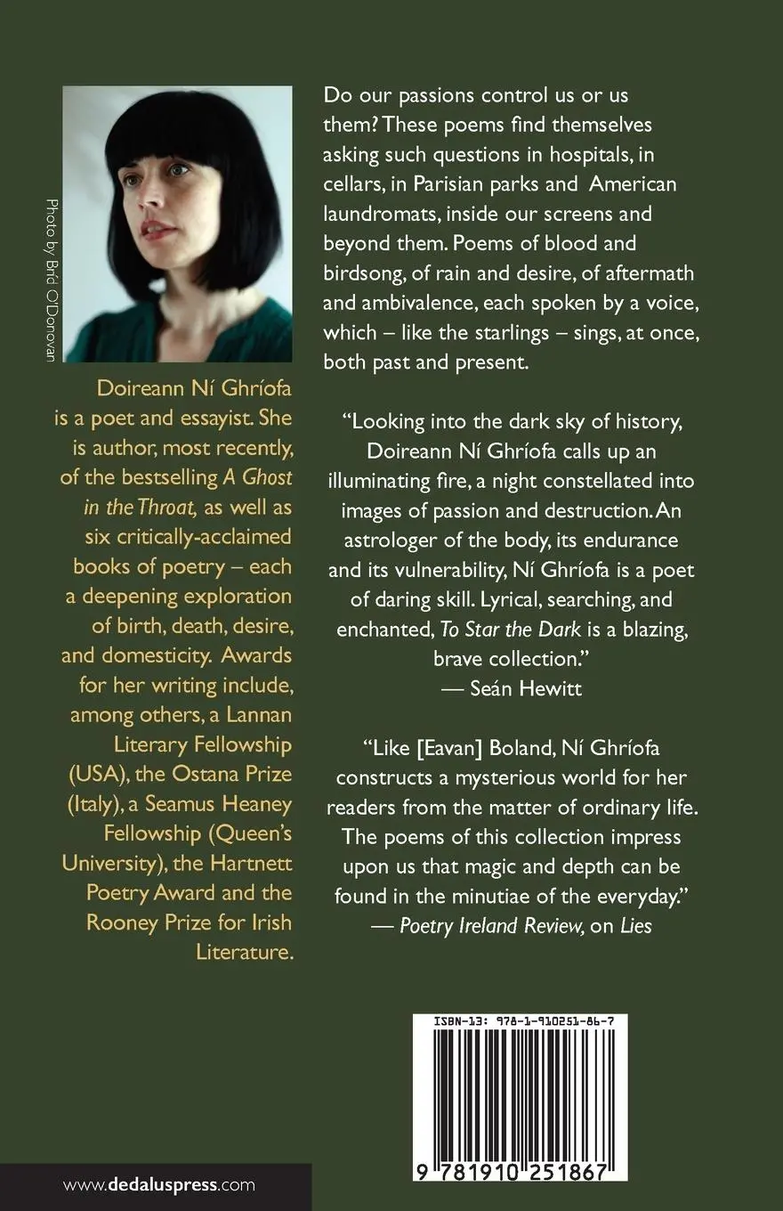 Rückseite: 9781910251867 | To Star the Dark | Doireann Ní Ghríofa | Taschenbuch | Englisch | 2021
