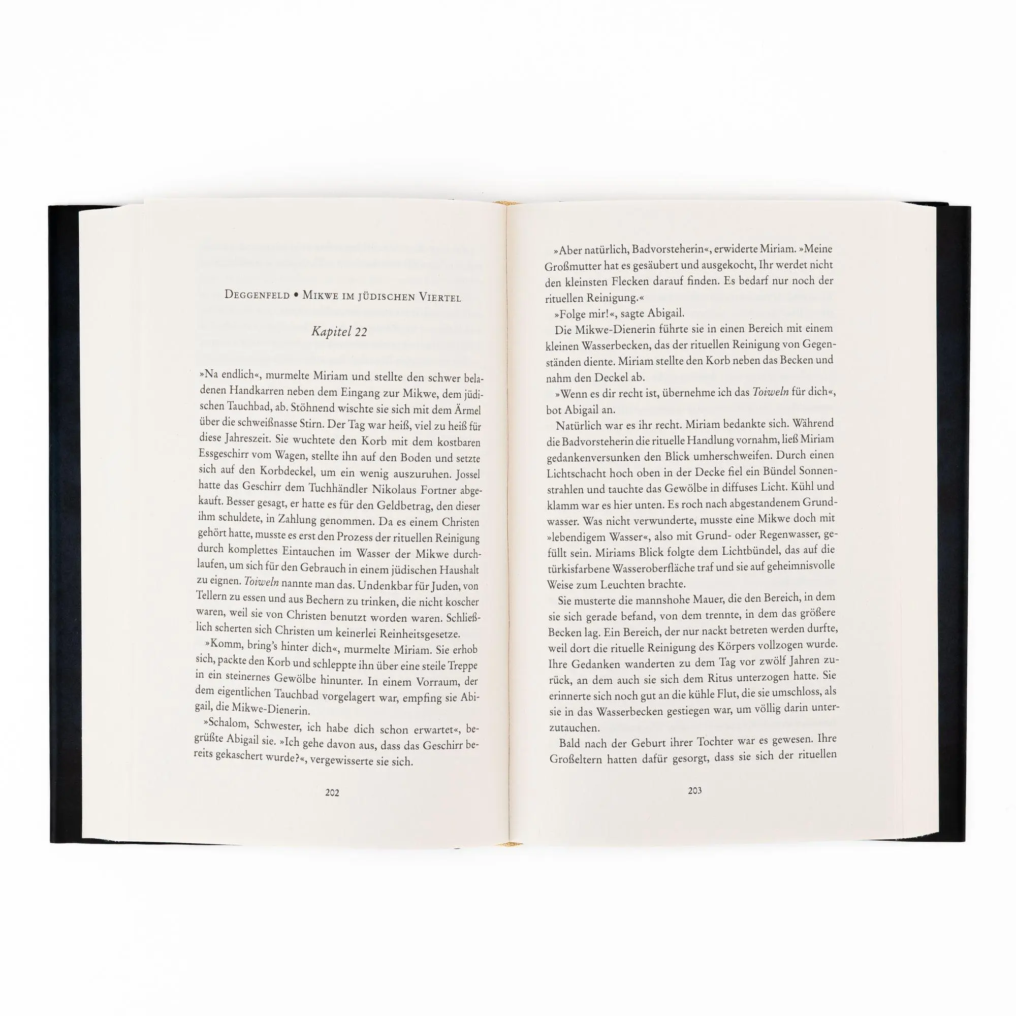 Bild: 9783365011867 | Hiobs Tochter | Peter Orontes | Buch | 464 S. | Deutsch | 2025