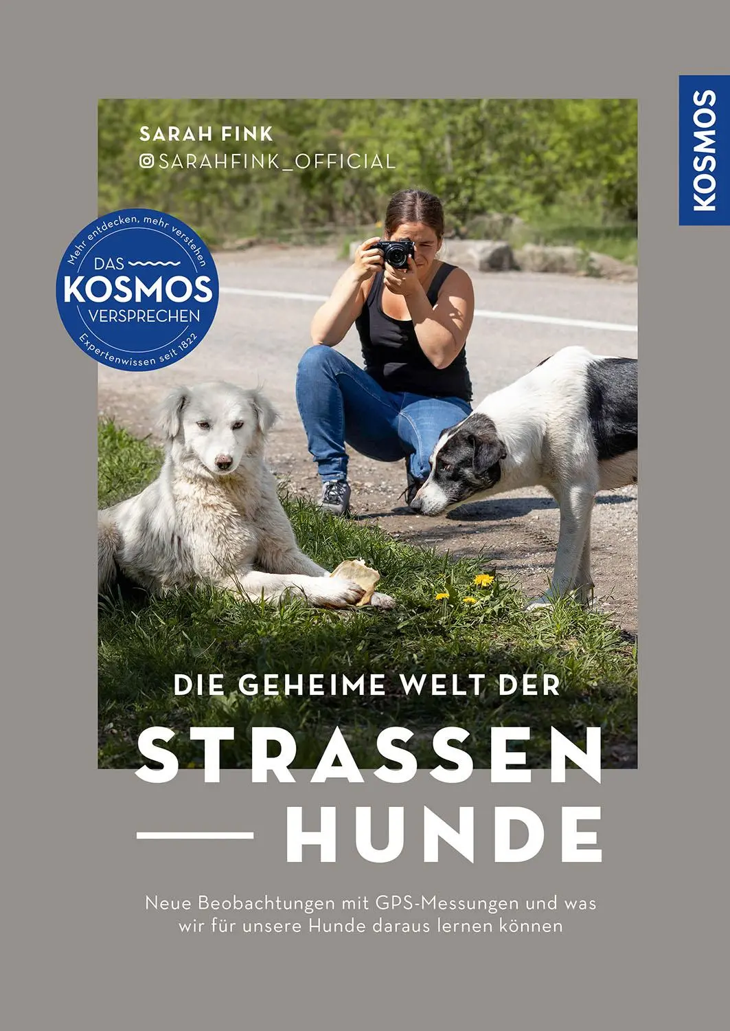 Cover: 9783440181867 | Die geheime Welt der Straßenhunde | Sarah Fink | Buch | 216 S. | 2025