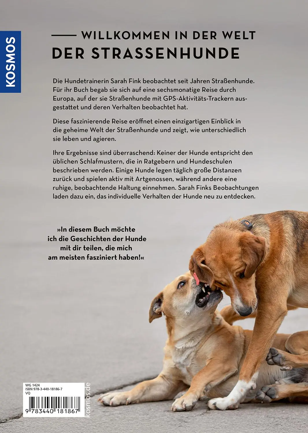 Bild: 9783440181867 | Die geheime Welt der Straßenhunde | Sarah Fink | Buch | 216 S. | 2025