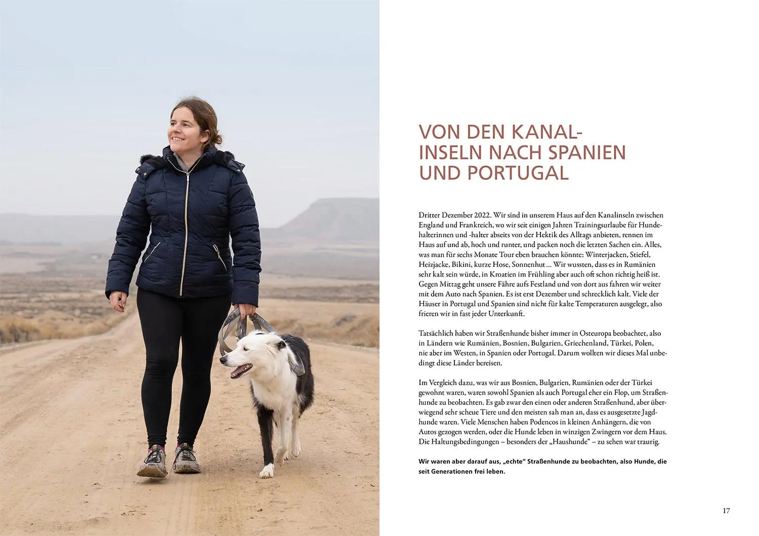 Bild: 9783440181867 | Die geheime Welt der Straßenhunde | Sarah Fink | Buch | 216 S. | 2025