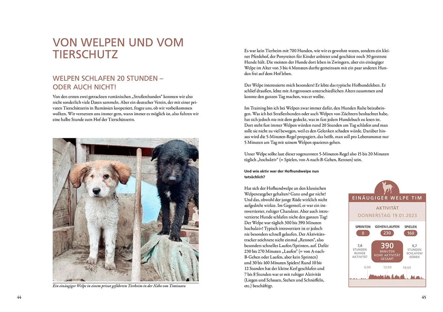 Bild: 9783440181867 | Die geheime Welt der Straßenhunde | Sarah Fink | Buch | 216 S. | 2025