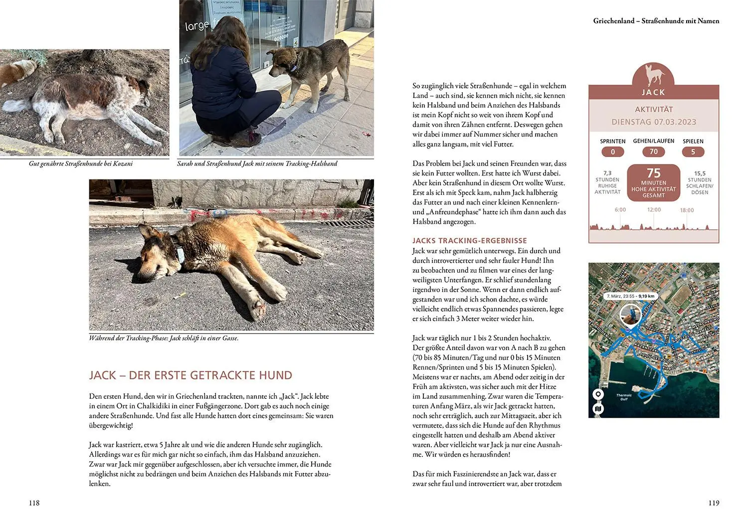 Bild: 9783440181867 | Die geheime Welt der Straßenhunde | Sarah Fink | Buch | 216 S. | 2025