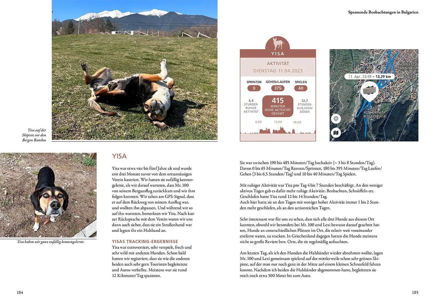 Bild: 9783440181867 | Die geheime Welt der Straßenhunde | Sarah Fink | Buch | 216 S. | 2025