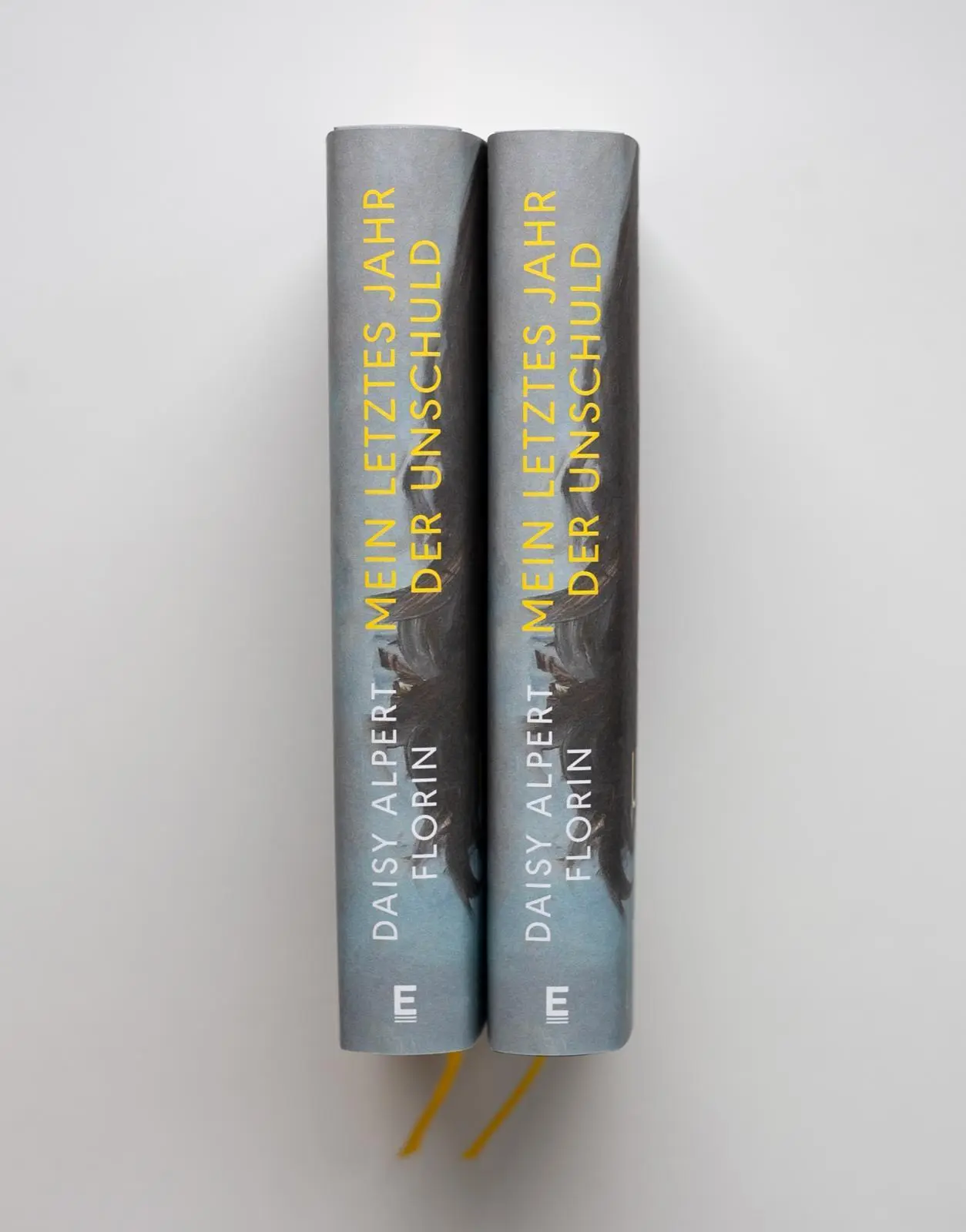 Bild: 9783961611867 | Mein letztes Jahr der Unschuld | Daisy Alpert Florin | Buch | 336 S.
