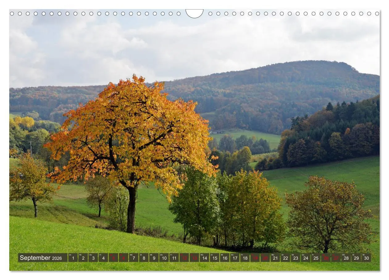 Bild: 9783457931967 | Unterwegs im Nürnberger Land (Wandkalender 2026 DIN A3 quer),...