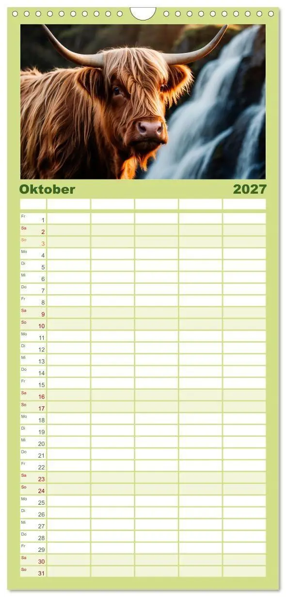 Bild: 9783594311967 | Familienplaner 2027 - Highland Kühe mit 5 Spalten (Wandkalender, 21...