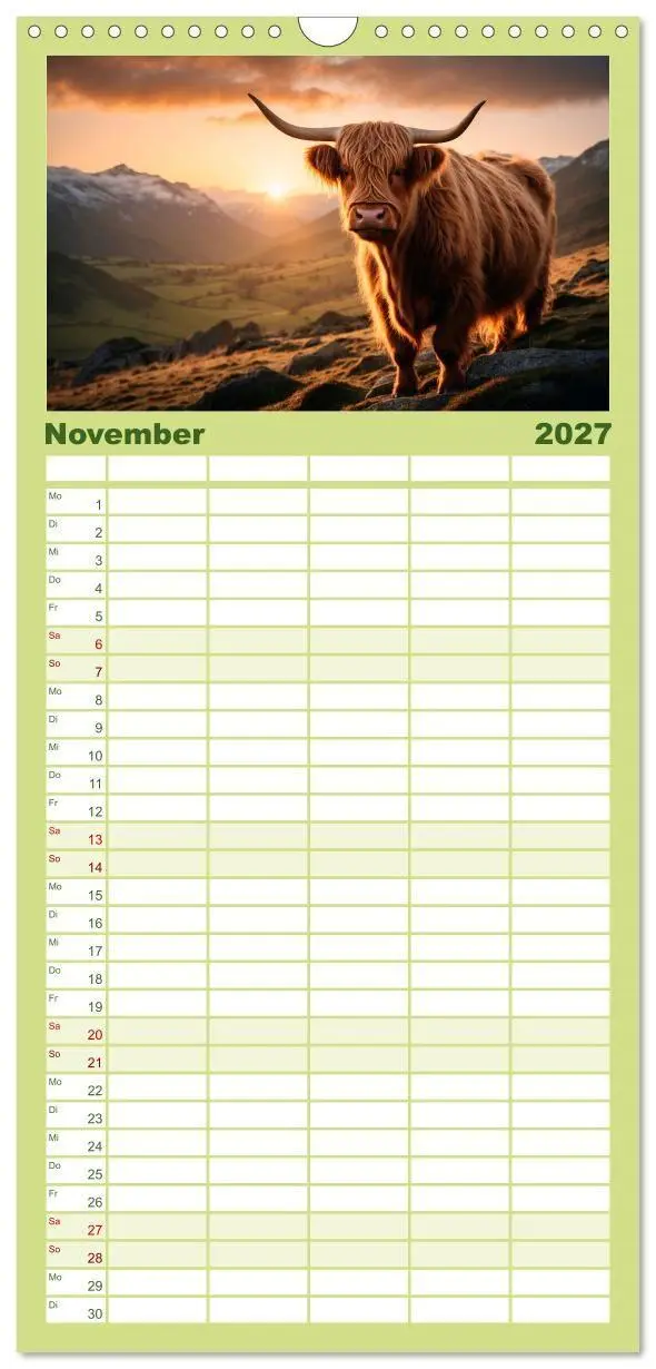 Bild: 9783594311967 | Familienplaner 2027 - Highland Kühe mit 5 Spalten (Wandkalender, 21...