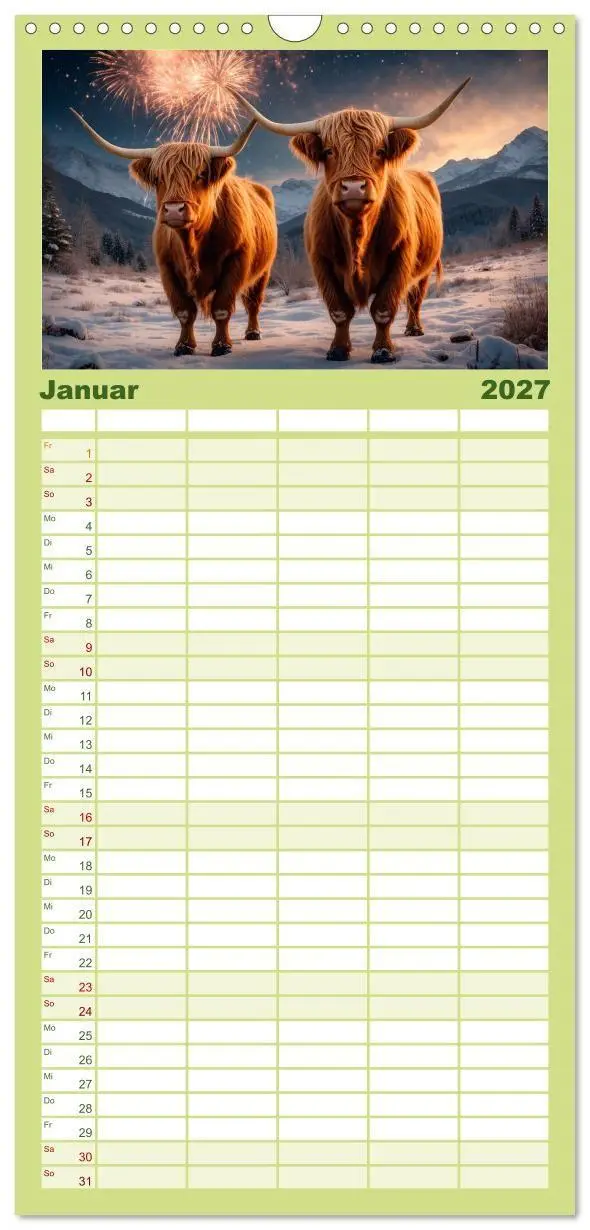 Bild: 9783594311967 | Familienplaner 2027 - Highland Kühe mit 5 Spalten (Wandkalender, 21...