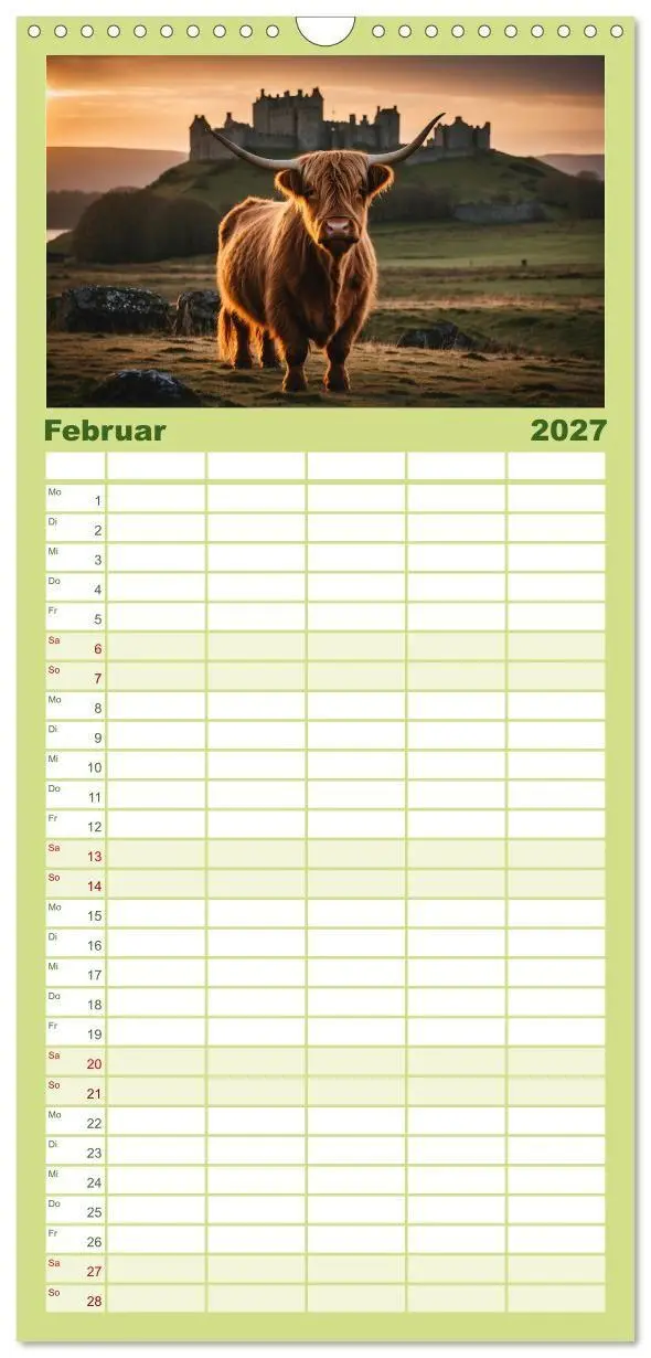 Bild: 9783594311967 | Familienplaner 2027 - Highland Kühe mit 5 Spalten (Wandkalender, 21...