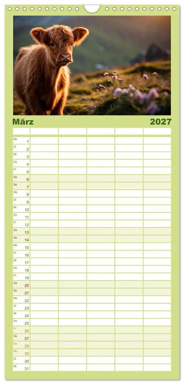 Bild: 9783594311967 | Familienplaner 2027 - Highland Kühe mit 5 Spalten (Wandkalender, 21...