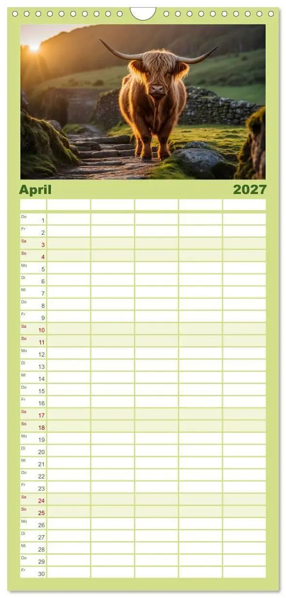 Bild: 9783594311967 | Familienplaner 2027 - Highland Kühe mit 5 Spalten (Wandkalender, 21...