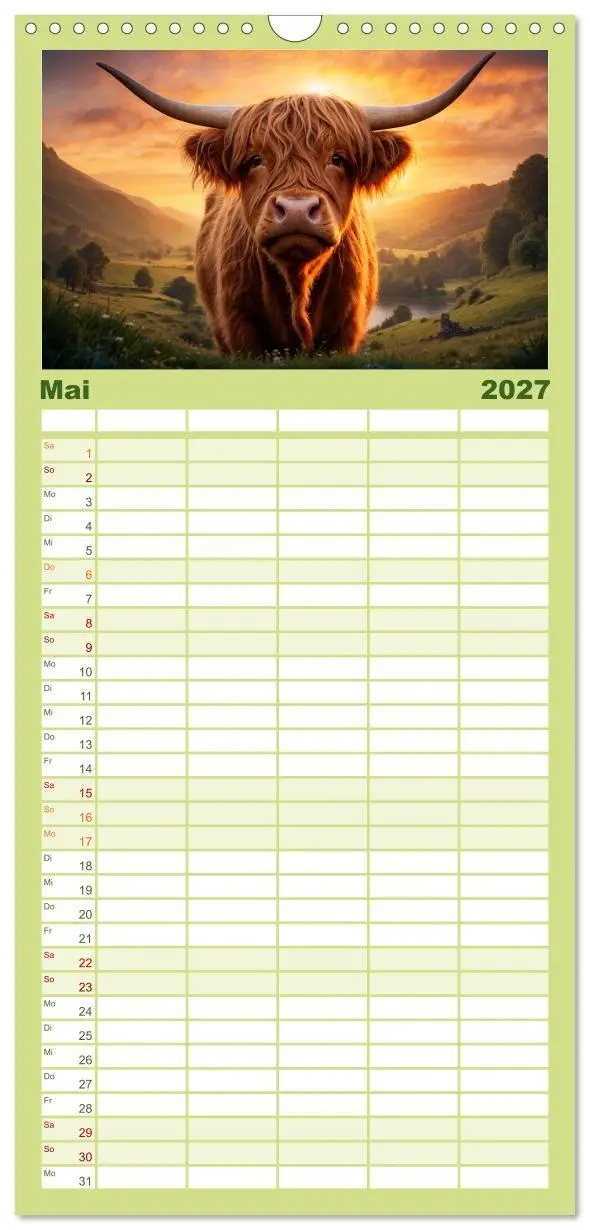 Bild: 9783594311967 | Familienplaner 2027 - Highland Kühe mit 5 Spalten (Wandkalender, 21...