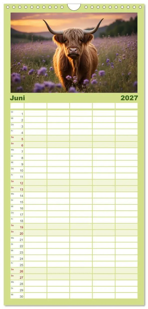 Bild: 9783594311967 | Familienplaner 2027 - Highland Kühe mit 5 Spalten (Wandkalender, 21...