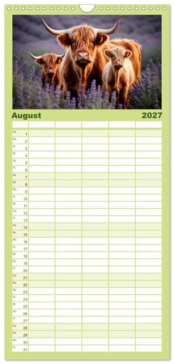 Bild: 9783594311967 | Familienplaner 2027 - Highland Kühe mit 5 Spalten (Wandkalender, 21...