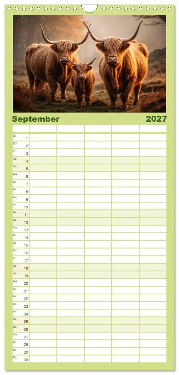 Bild: 9783594311967 | Familienplaner 2027 - Highland Kühe mit 5 Spalten (Wandkalender, 21...