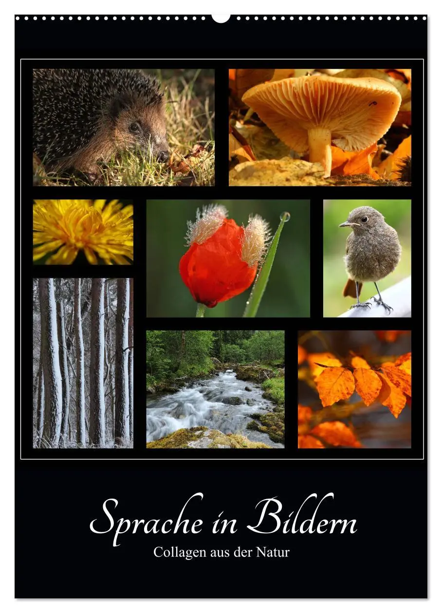 Cover: 9783435972067 | Sprache in Bildern - Collagen aus der Natur (Wandkalender 2025 DIN...