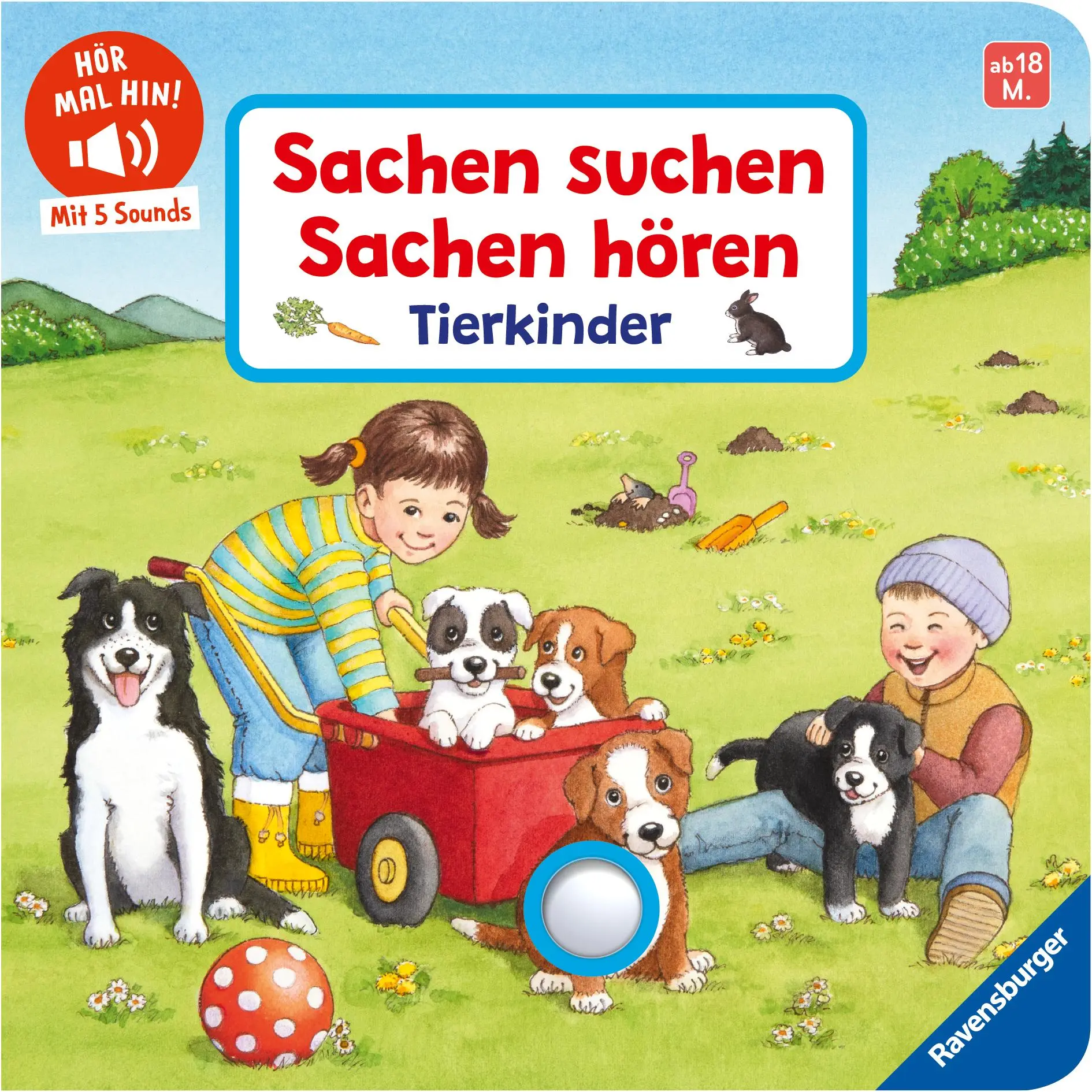 Cover: 9783473422067 | Hör mal hin - Sachen suchen, Sachen hören: Tierkinder | Nahrgang