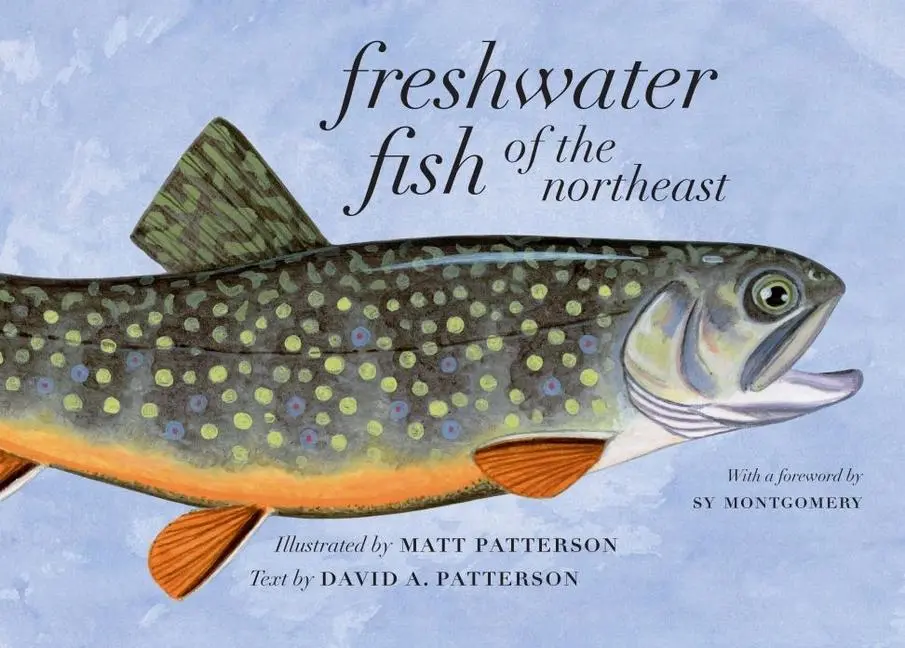 Cover: 9781684582167 | Freshwater Fish of the Northeast | David A Patterson | Taschenbuch