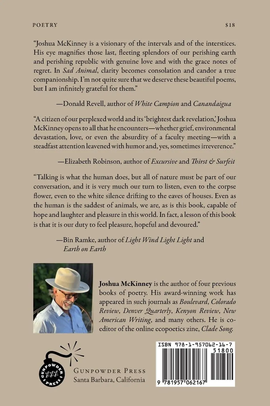 Rückseite: 9781957062167 | Sad Animal | Joshua Mckinney | Taschenbuch | Englisch | 2024