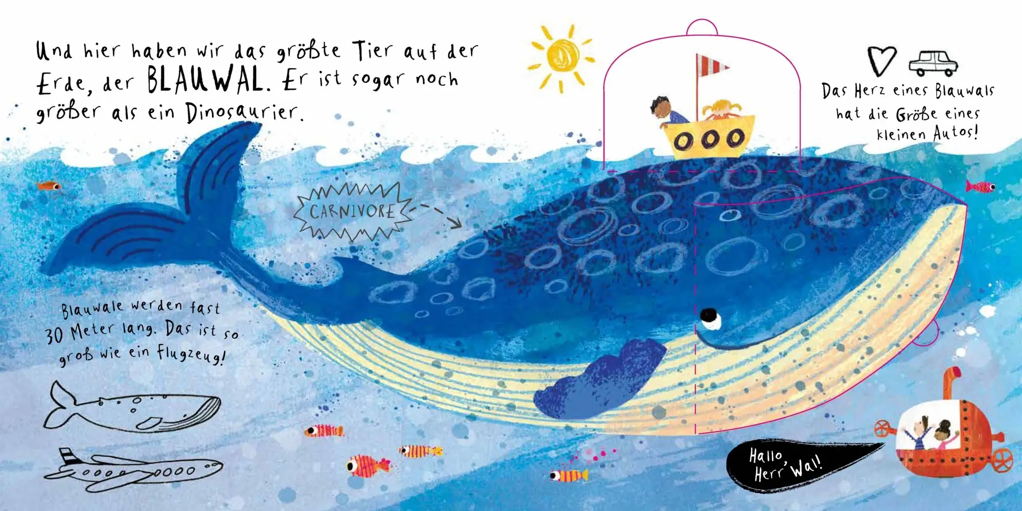 Bild: 9783039342167 | Hallo, Herr Wal! | Sam Boughton | Buch | Klappenbroschur | 16 S.