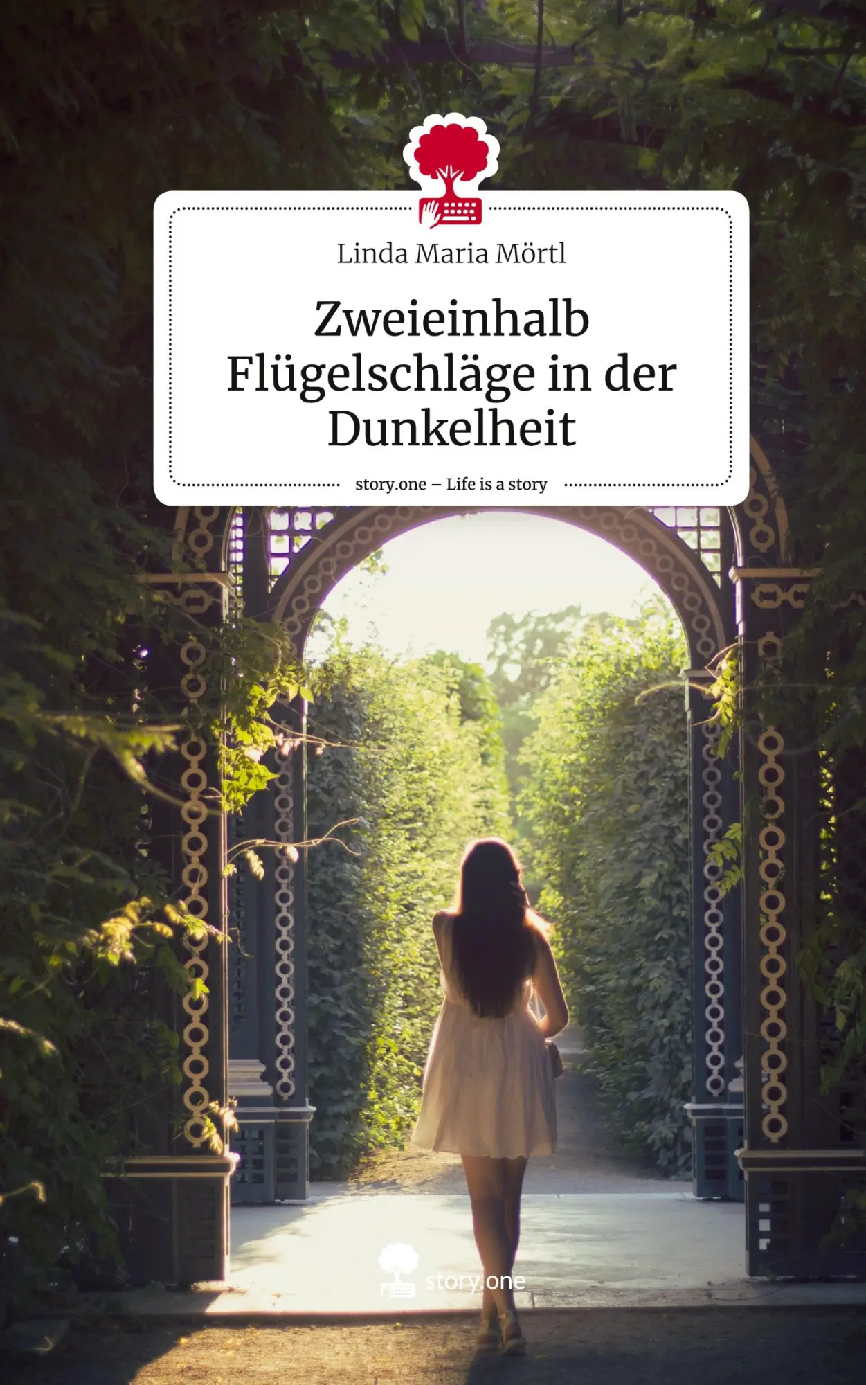 Cover: 9783711542267 | Zweieinhalb Flügelschläge in der Dunkelheit. Life is a Story -...