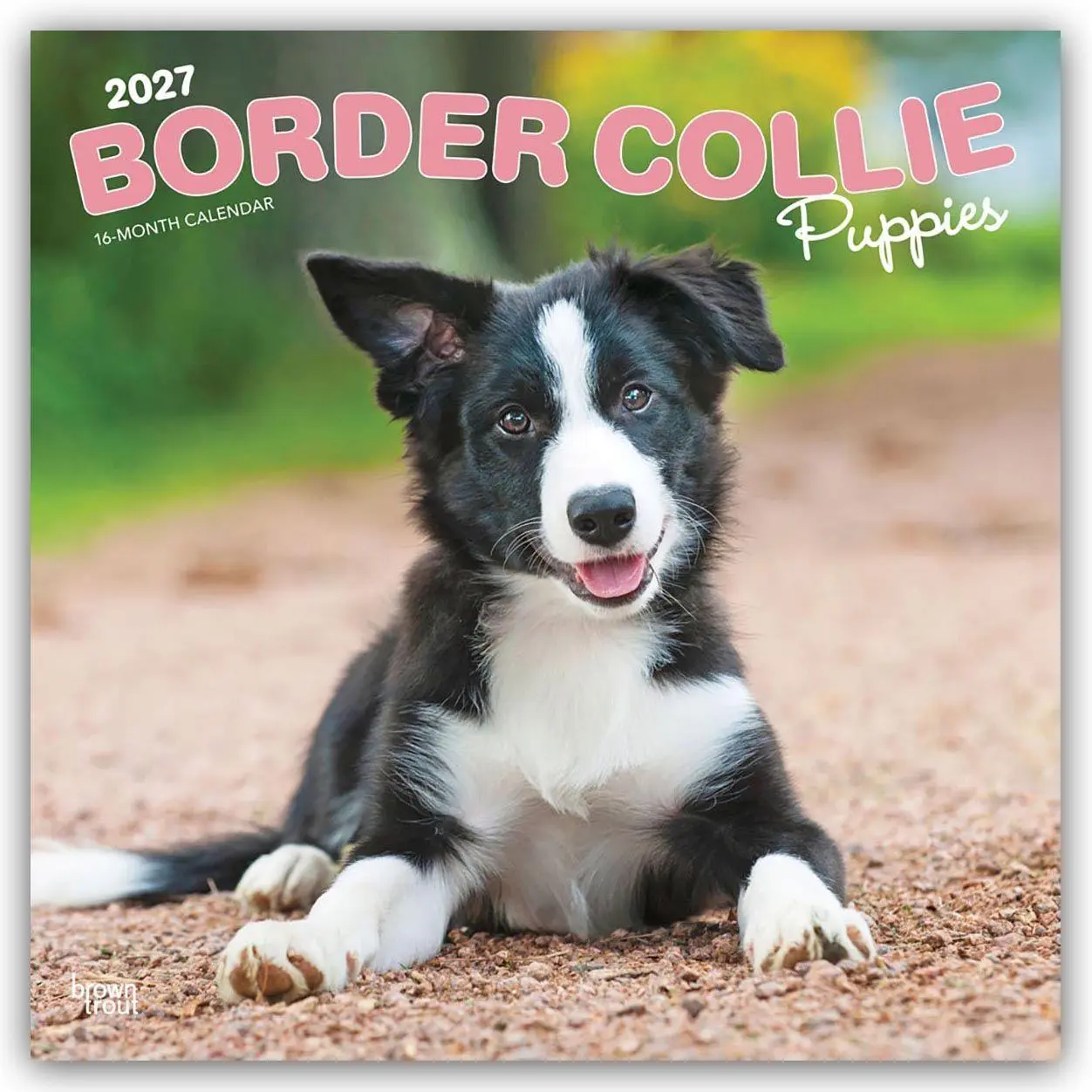 Cover: 9798330712267 | Border Collie Puppies - Border Collie Welpen 2027 - 16-Monatskalender