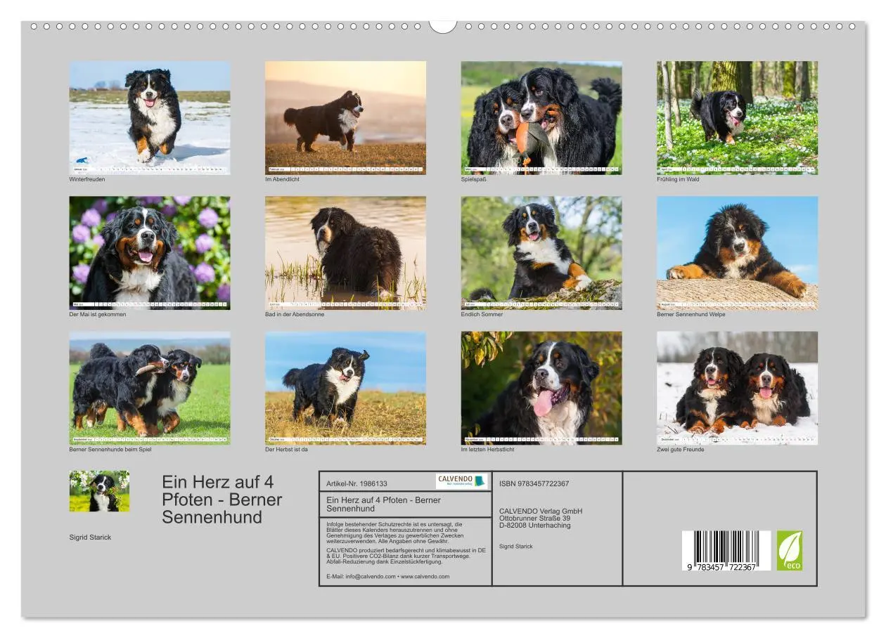 Bild: 9783457722367 | Ein Herz auf 4 Pfoten - Berner Sennenhund (hochwertiger Premium...