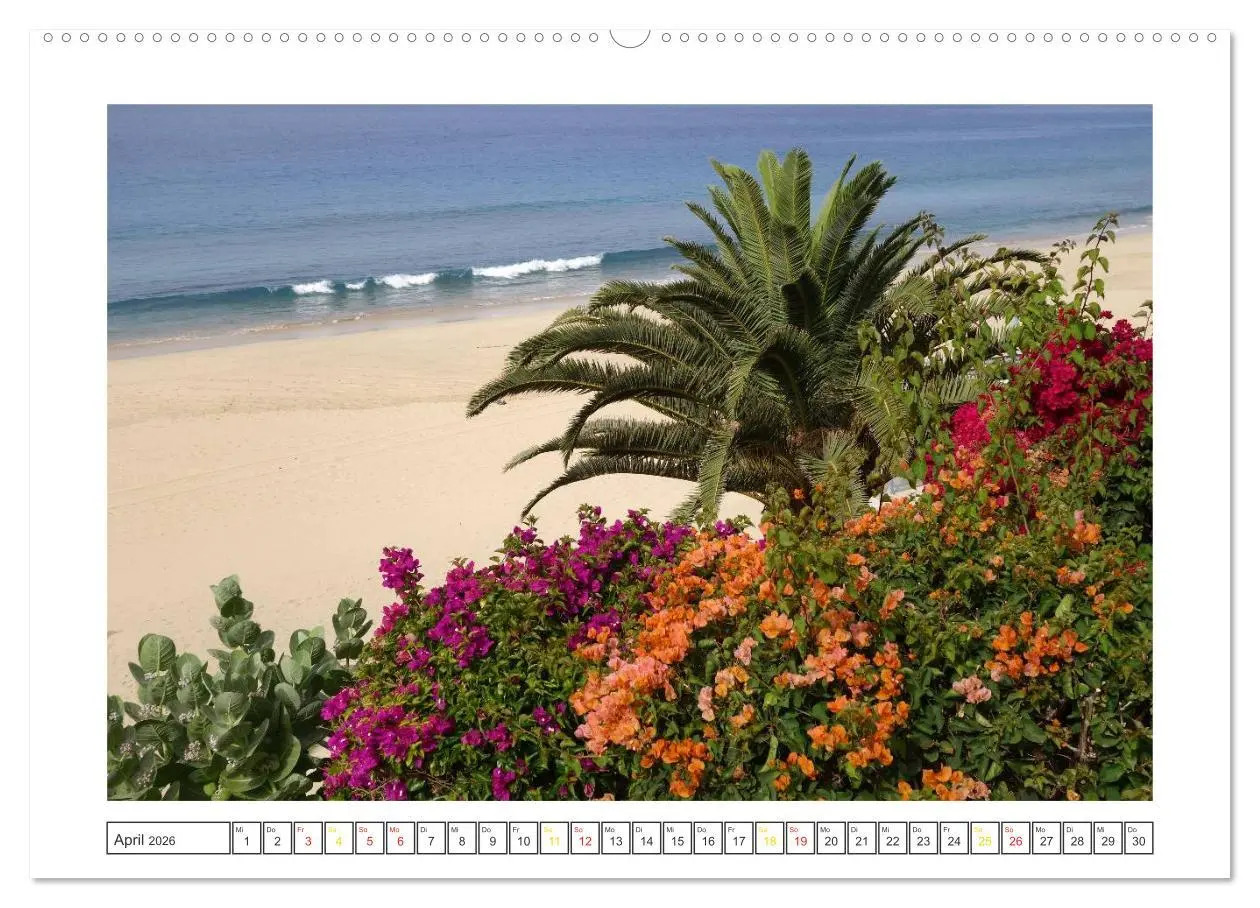Bild: 9783516052367 | Fuerteventura - Insel im Licht (hochwertiger Premium Wandkalender...