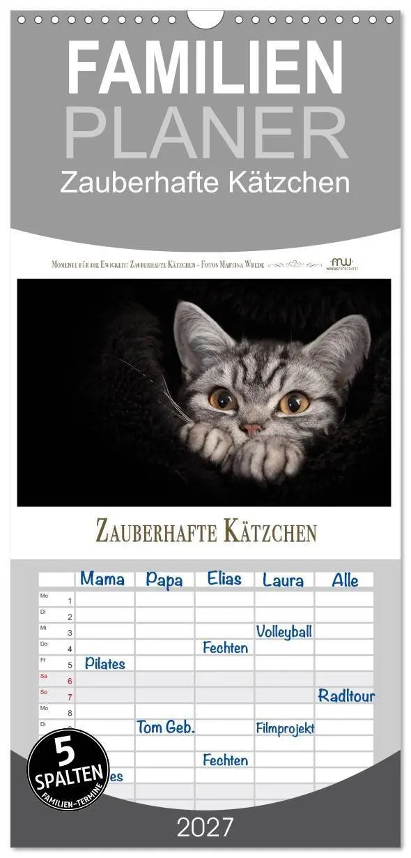 Cover: 9783594342367 | Familienplaner 2027 - Zauberhafte Kätzchen mit 5 Spalten...