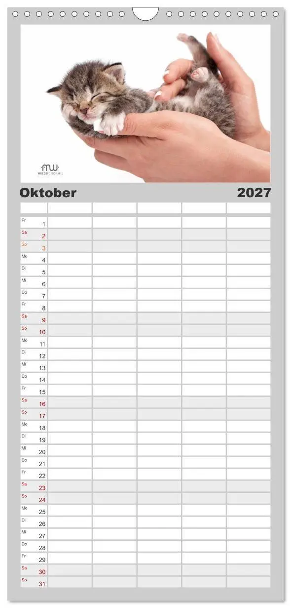 Bild: 9783594342367 | Familienplaner 2027 - Zauberhafte Kätzchen mit 5 Spalten...