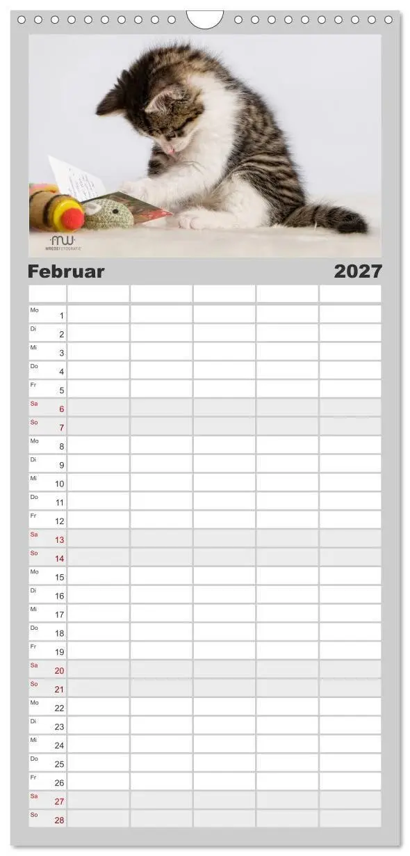 Bild: 9783594342367 | Familienplaner 2027 - Zauberhafte Kätzchen mit 5 Spalten...