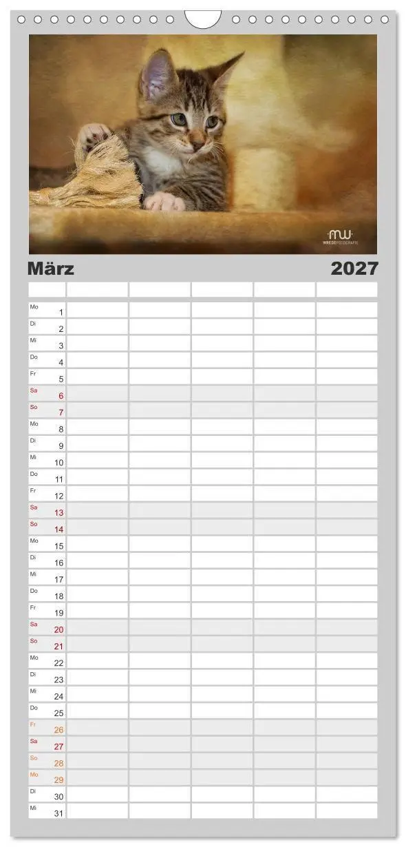 Bild: 9783594342367 | Familienplaner 2027 - Zauberhafte Kätzchen mit 5 Spalten...