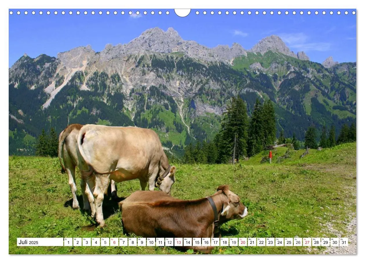 Bild: 9783435482467 | Geliebtes Tirol. Alpiner Zauber in Österreich (Wandkalender 2025...