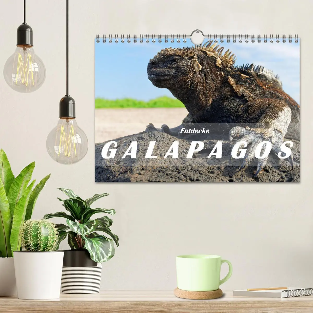 Bild: 9783457332467 | Entdecke Galapagos (Wandkalender 2026 DIN A4 quer), CALVENDO...