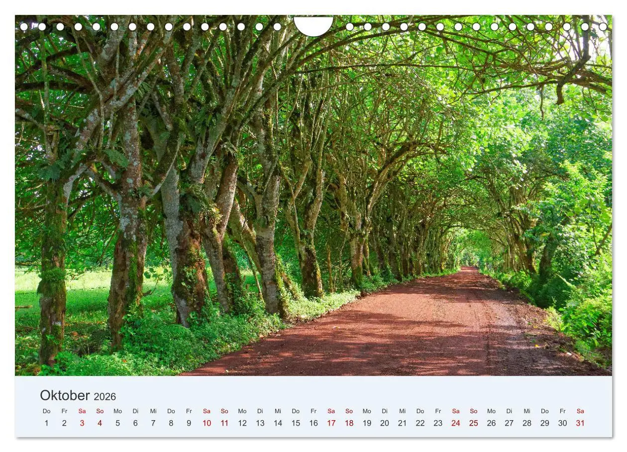 Bild: 9783457332467 | Entdecke Galapagos (Wandkalender 2026 DIN A4 quer), CALVENDO...