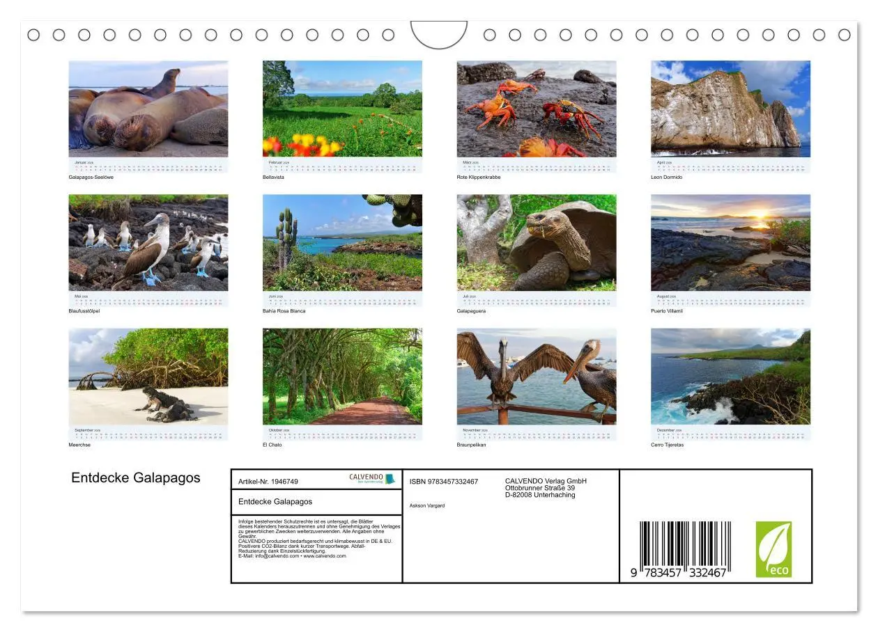 Bild: 9783457332467 | Entdecke Galapagos (Wandkalender 2026 DIN A4 quer), CALVENDO...