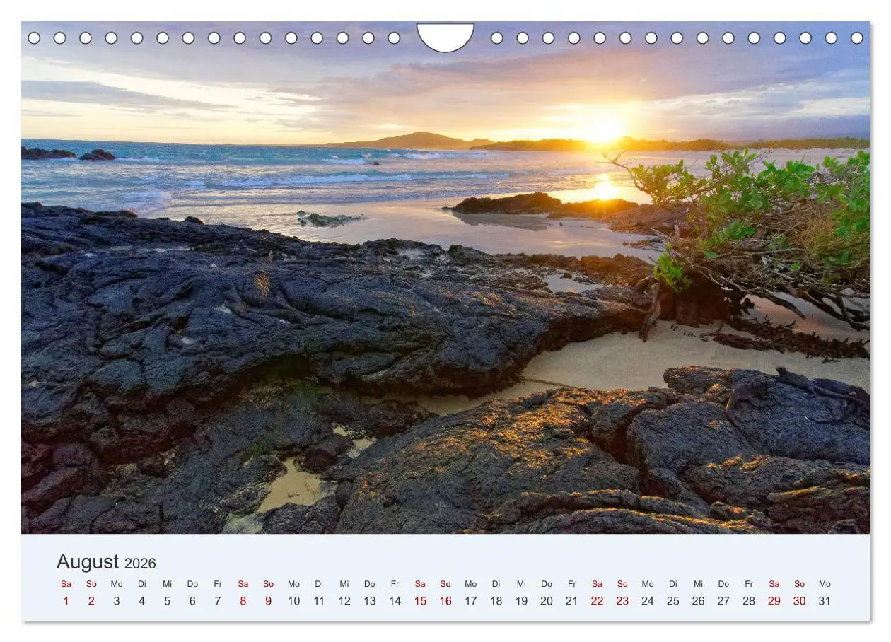 Bild: 9783457332467 | Entdecke Galapagos (Wandkalender 2026 DIN A4 quer), CALVENDO...