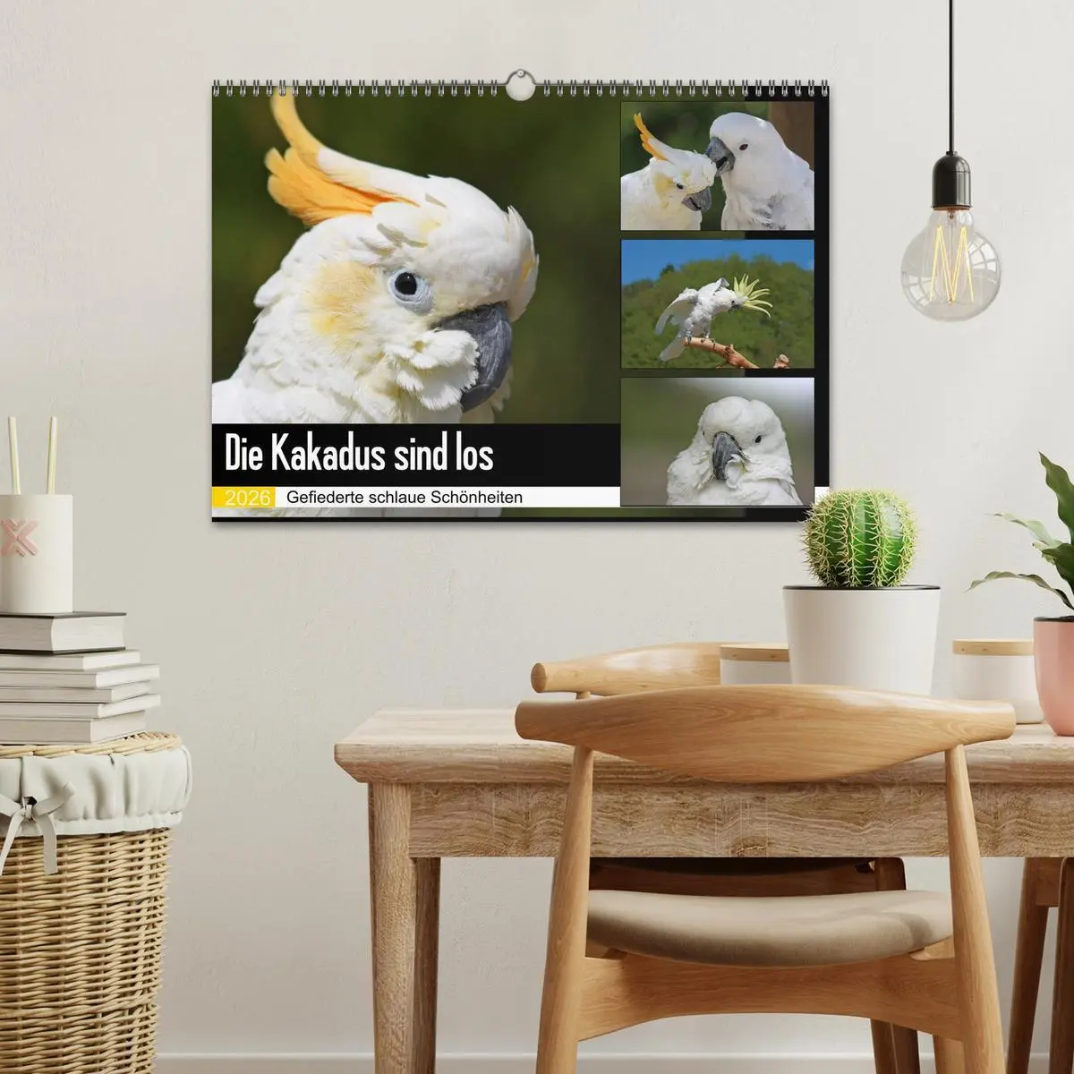Bild: 9783457882467 | Die Kakadus sind los (Wandkalender 2026 DIN A3 quer), CALVENDO...