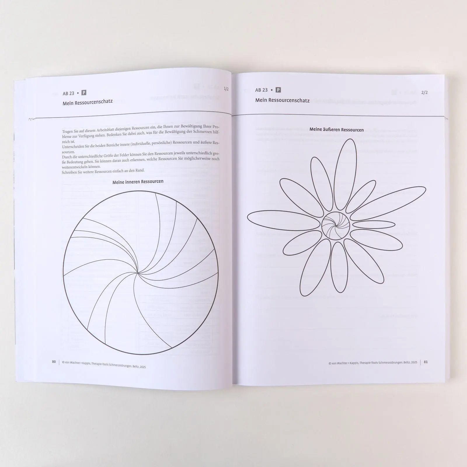 Bild: 9783621292467 | Therapie-Tools Schmerzstörungen | Martin von Wachter (u. a.) | Bundle