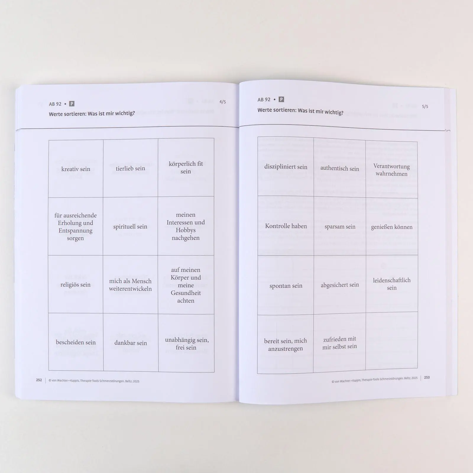 Bild: 9783621292467 | Therapie-Tools Schmerzstörungen | Martin von Wachter (u. a.) | Bundle