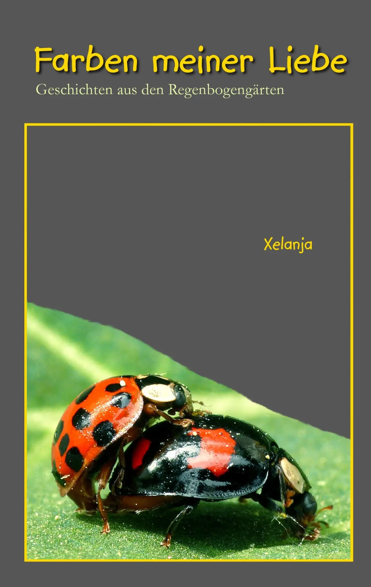 Cover: 9783837042467 | Farben meiner Liebe | Geschichten aus den Regenbogengärten | Xelanja