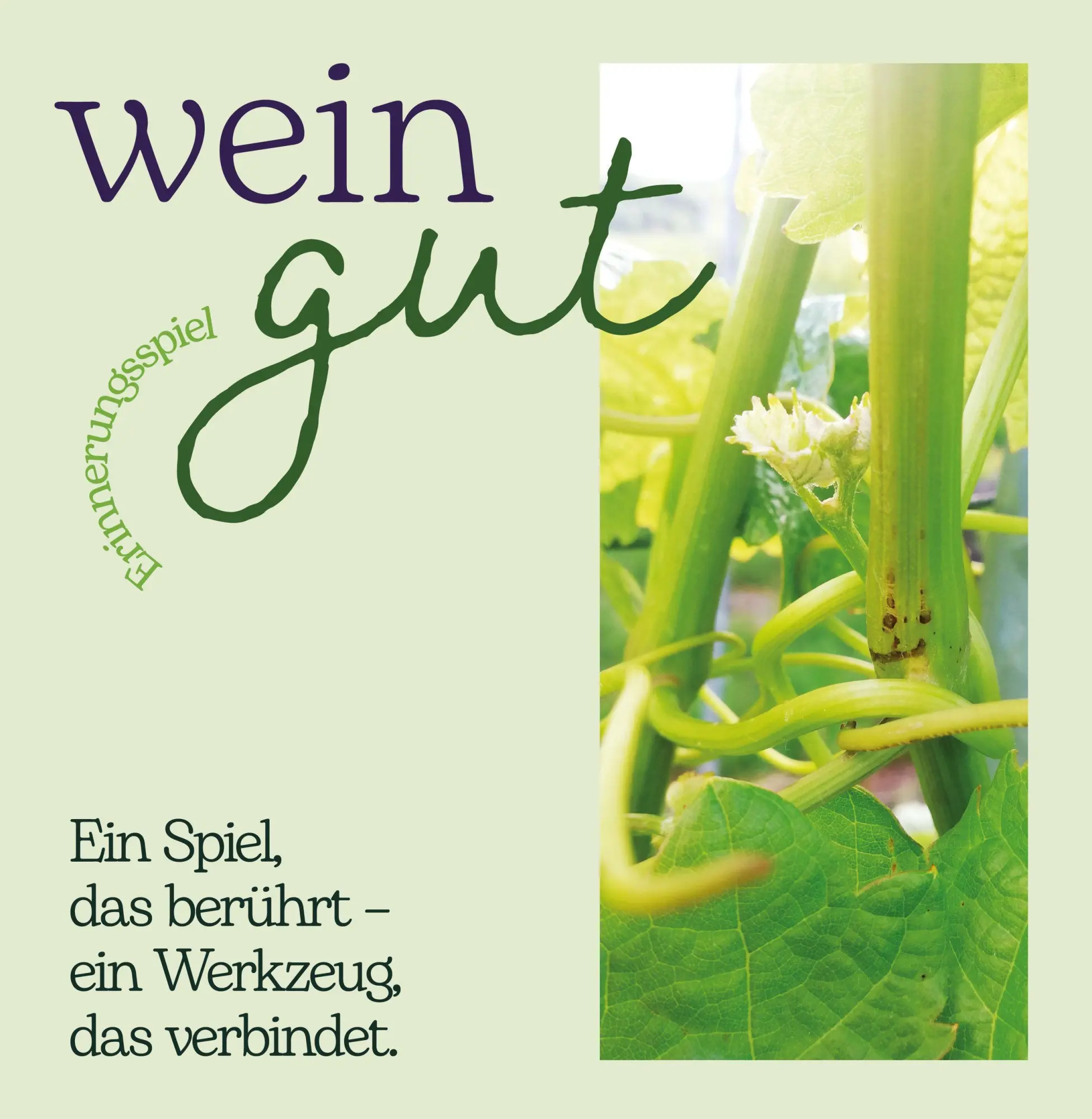 Cover: 4170000242567 | wein gut Erinnerungspiel | Senta Muth | Taschenbuch | 52 S. | Deutsch