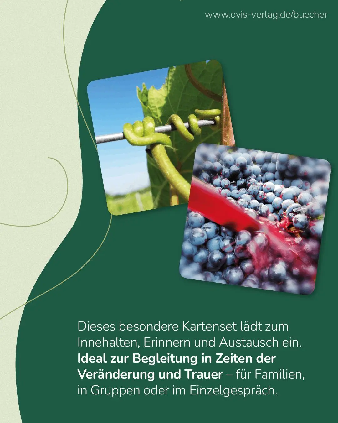 Bild: 4170000242567 | wein gut Erinnerungspiel | Senta Muth | Taschenbuch | 52 S. | Deutsch