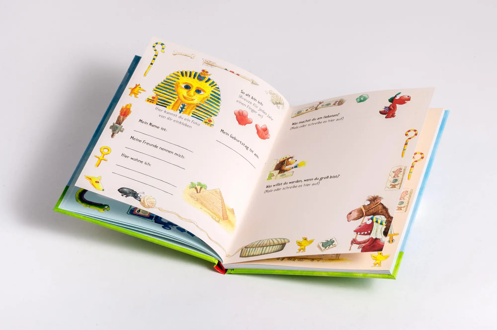 Bild: 9783570182567 | Der kleine Drache Kokosnuss - Meine Kindergartenfreunde | Ingo Siegner