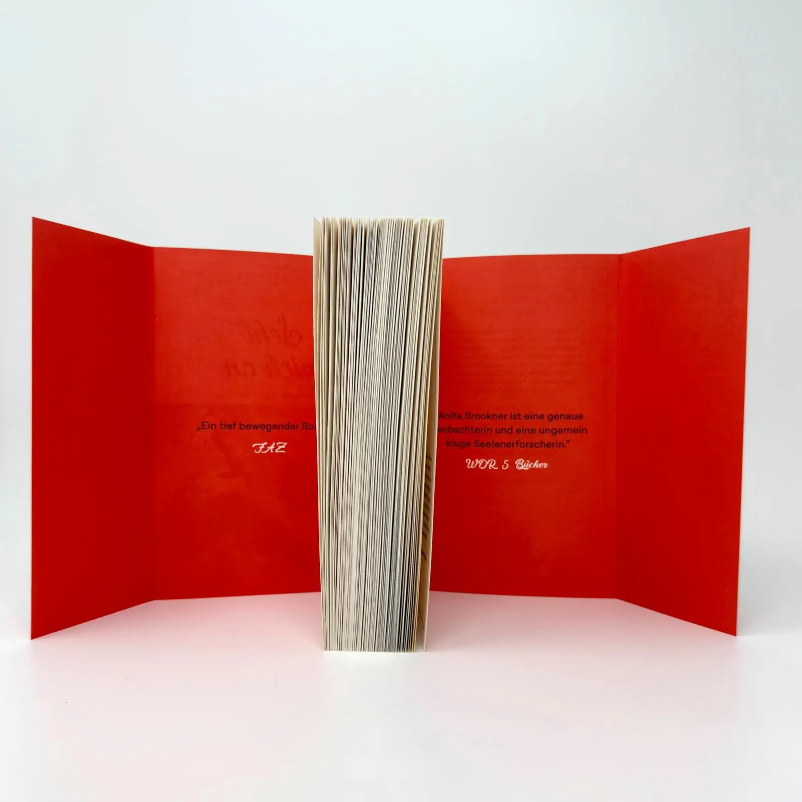 Bild: 9783961612567 | Seht mich an | Anita Brookner | Taschenbuch | 288 S. | Deutsch | 2025